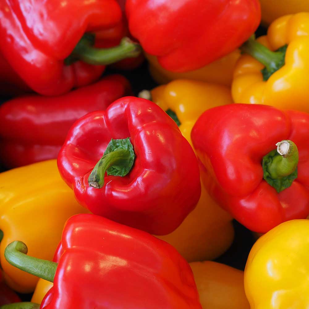 Heart Healthy in Ste.